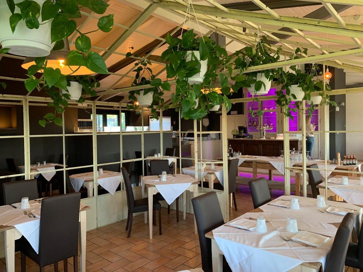 Hotel Mamiani & Relaxing Spa Ουρμπίνο Εξωτερικό φωτογραφία